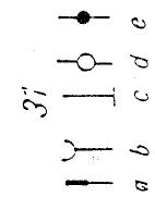 MZ ETZ 125 - Legendede la fig.109: - 2