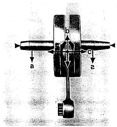 MZ ETZ 125 - Vilebreguin - 2