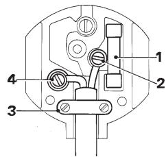 DEWALT D21520 - Mains plug replacement (U.K. &amp; Ireland only) - 1