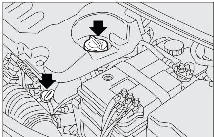 LANCIA MUSA - ATTENTION - 2