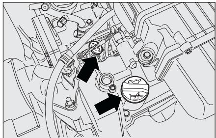 LANCIA MUSA - ATTENTION - 5