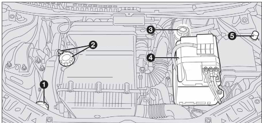 LANCIA MUSA - ATTENTION - 2