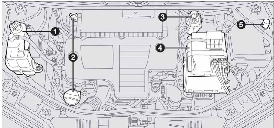 LANCIA MUSA - ATTENTION - 3