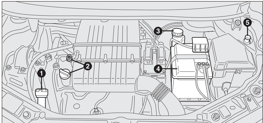 LANCIA MUSA - ATTENTION - 1
