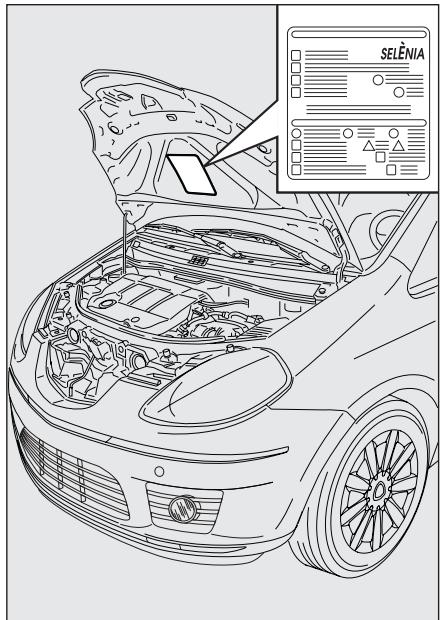 LANCIA MUSA - SYMBOLES - 1