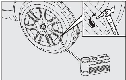 LANCIA MUSA - ATTENTION - 3