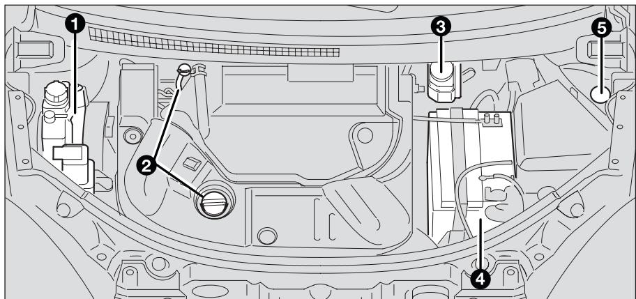 LANCIA MUSA - ATTENTION - 4