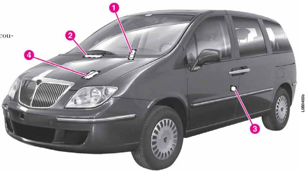 LANCIA PHEDRA - IDENTIFICATION - 1