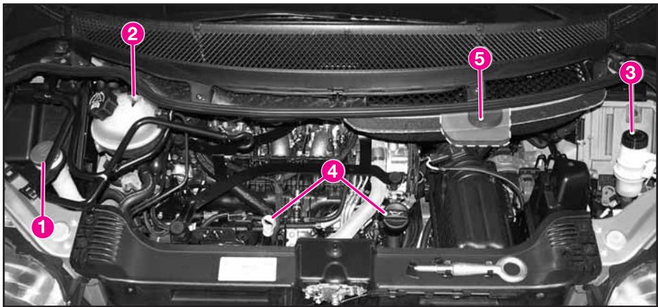 LANCIA PHEDRA - VERIFICATION DES NIVEAUX - 5