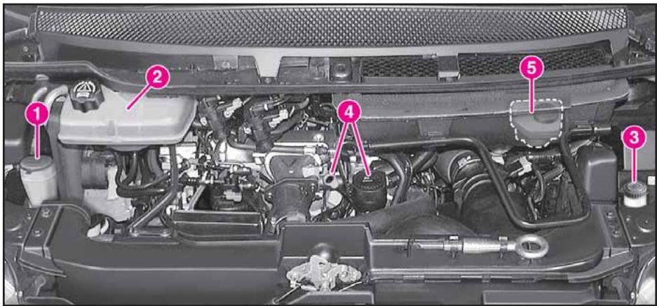 LANCIA PHEDRA - VERIFICATION DES NIVEAUX - 4