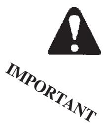 ECHO ES210 - Symboles de sécurité et informations importantes - 3