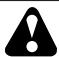 POULAN PO165H42STA - WARNING - 1
