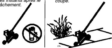 POULAN PRO PB200 - Sécurité du coupe-bordure - 1