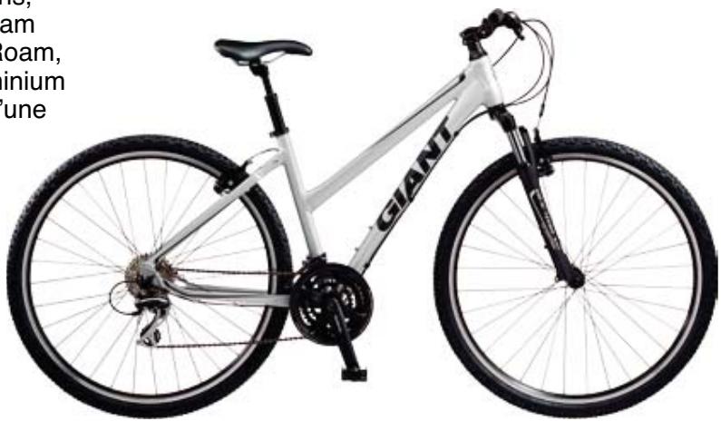 GIANT ROAM 3 W - 1