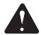 HOMELITE HG5022P - WARNING: - 1