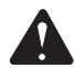HOMELITE HGCA4500 - DANGER : - 1