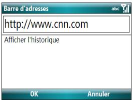 PALM TREO 500 - Visualisation des pages web - 1