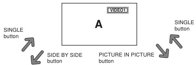 NEC 42XM5 - Showing a couple of pictures on the screen at the same time - 1