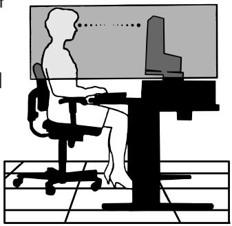 NEC LCD73VXM - Image Persistence - 3