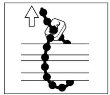 NEC PX-50XM6A - Para prender - 2