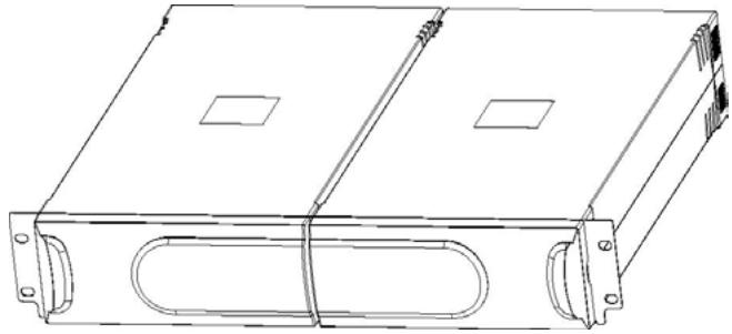 INFOSEC E 3 RM - - The UPS and its battery pack can be placed in rack form - 9