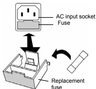 INFOSEC XP OFFICE 800 VA - FUSE REPLACEMENT - 1