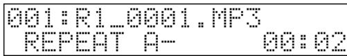 EDIROL R1 - 1 - 1
