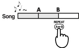 EDIROL R1 - REPEAT button - 2