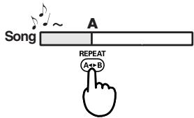 EDIROL R1 - REPEAT button - 1