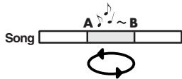EDIROL R1 - Verfahren - 7