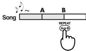 EDIROL R1 - Procedure - 6