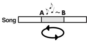 EDIROL R1 - REPEAT button - 3