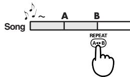 EDIROL R1 - Verfahren - 6