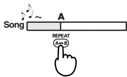 EDIROL R1 - Verfahren - 3