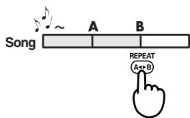 EDIROL R1 - REPEAT-Taste - 2