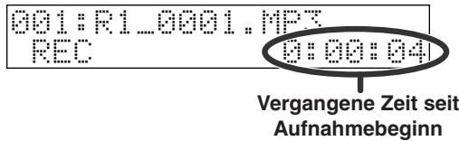 EDIROL R1 - Aufnahmelautstärke. - 3