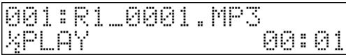 EDIROL R1 - Procedure - 2