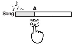 EDIROL R1 - Pulsante REPEAT - 1