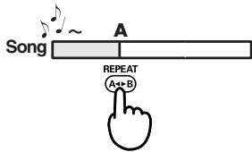 EDIROL R1 - Procedure - 3