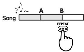 EDIROL R1 - Pulsante REPEAT - 2