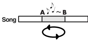 EDIROL R1 - Procedure - 7