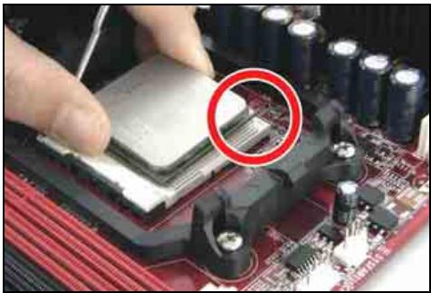ABIT AN52S - CPU Socket AM2 - 1