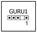 ABIT IP35 PRO - Guru Panel Connection Header - 2