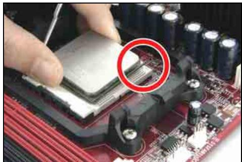 ABIT AN-M2HD - CPU Socket AM2 - 1