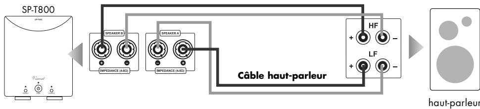 VINCENT SP-T800 - Branchement des haut-parleurs - 1