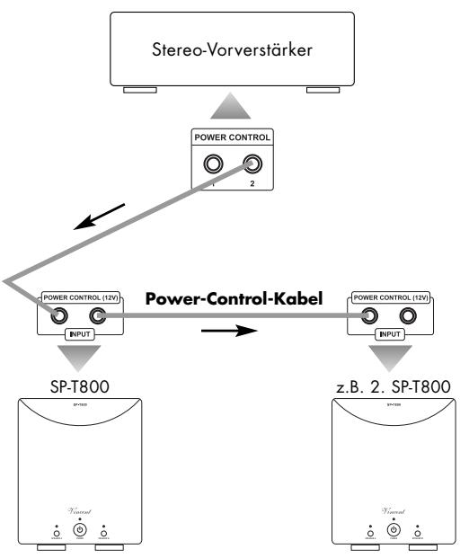 VINCENT SP-T800 - KABELVERBINDUNGEN FÜR DIE EINSCHALTSTEUERUNG (POWER CONTROL) - 1