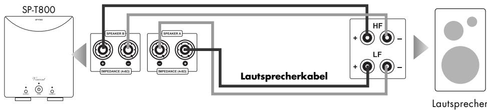 VINCENT SP-T800 - ANSCHLUSS DER LAUTSPRECHER - 1