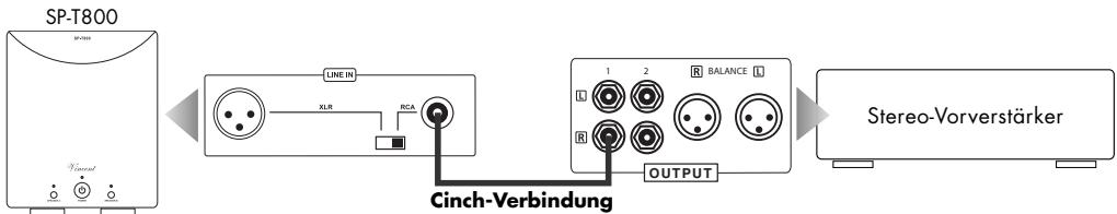 VINCENT SP-T800 - Hinweis: - 1