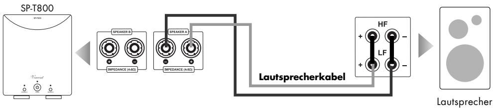 VINCENT SP-T800 - ANsCHLUSS DER LAUTSPRECHER - 1