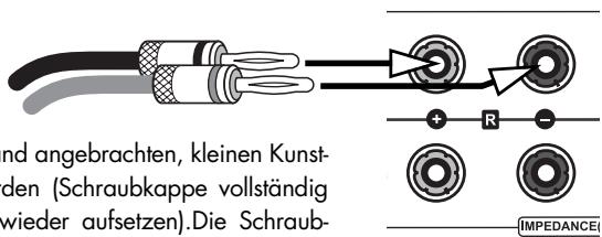 VINCENT SV-232 - ANSCHLUSS DER LAUTSPRECHER - 2